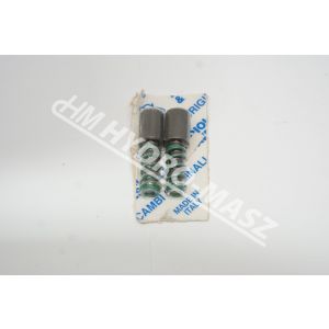 Zabezpieczenie trzp-spr 403000001R10