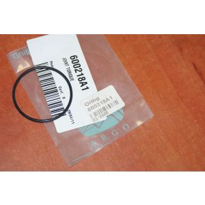 Oring 600218A1