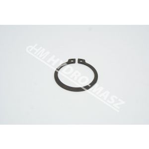 Pierścień osadczy Z-34