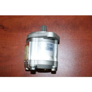 PUMP ASSY, GEAR | Pompa 15155200000 19955200000