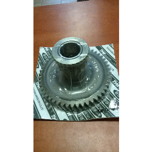 GEAR COMP , HELICAL 49T SPUR 17T | Koło zębate 49/17 19022242103