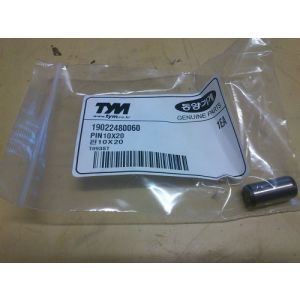 PIN10X20 / Kołek tłoka hamulca nożnego 19022480060