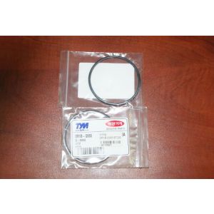 O-RING / o-ring OR1B-G065 BT200