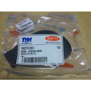 KNOB , LOW/RH MAIN / Obudowa dźwigni zmiany biegów prawa 19027512031