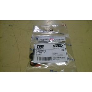 O-RING , P / O-ring V7201024010
