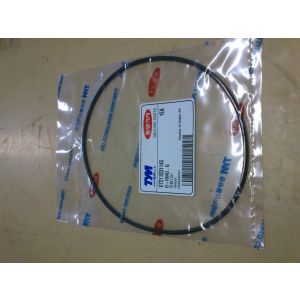 O-RING , G / O-ring V7211031145