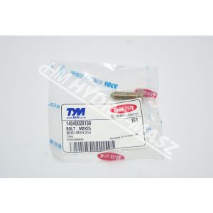 BOLT , M8x25 / Śruba M8x25 14045020130