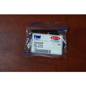 BOLT , STUD/2 / Śruba V2513614040