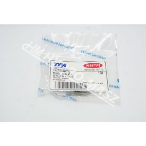 PLUG , M12X24 / Korek M12x24 19022480030