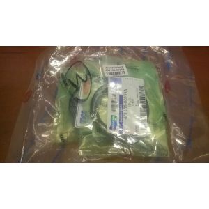 SEAL,OIL / Uszczelniacz 401106-00259