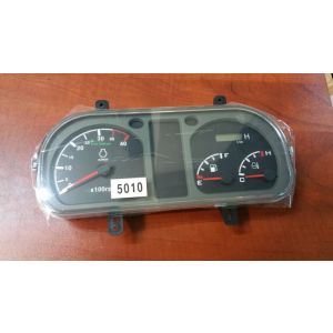 PANEL ASSY, METER / Panel wskaźników 12436602100