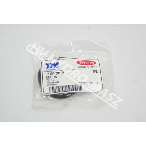 CAP , 55 / CAP 55 13154130160