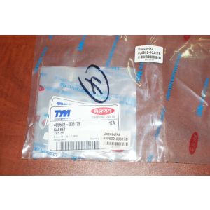 GASKET / Uszczelka 400602-00317B